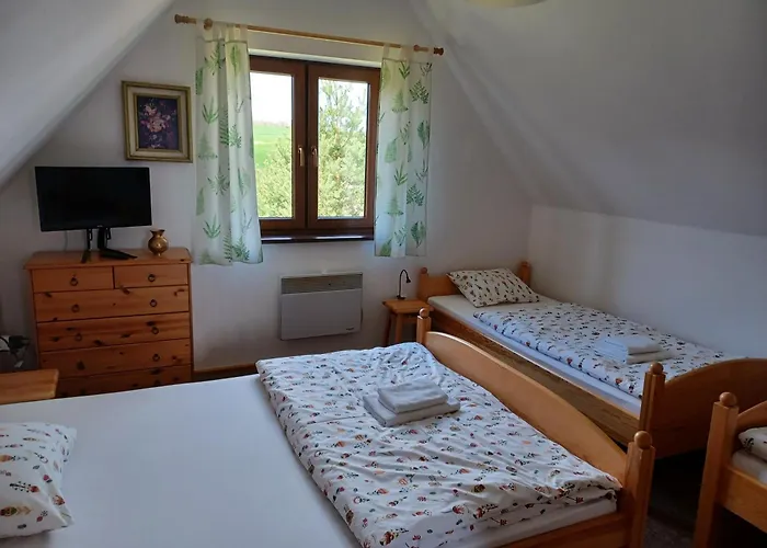 Domek letniskowy Przy Lesie Werblinia